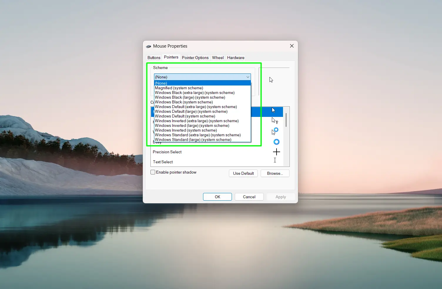 Change the Full Cursor Scheme in Windows 11