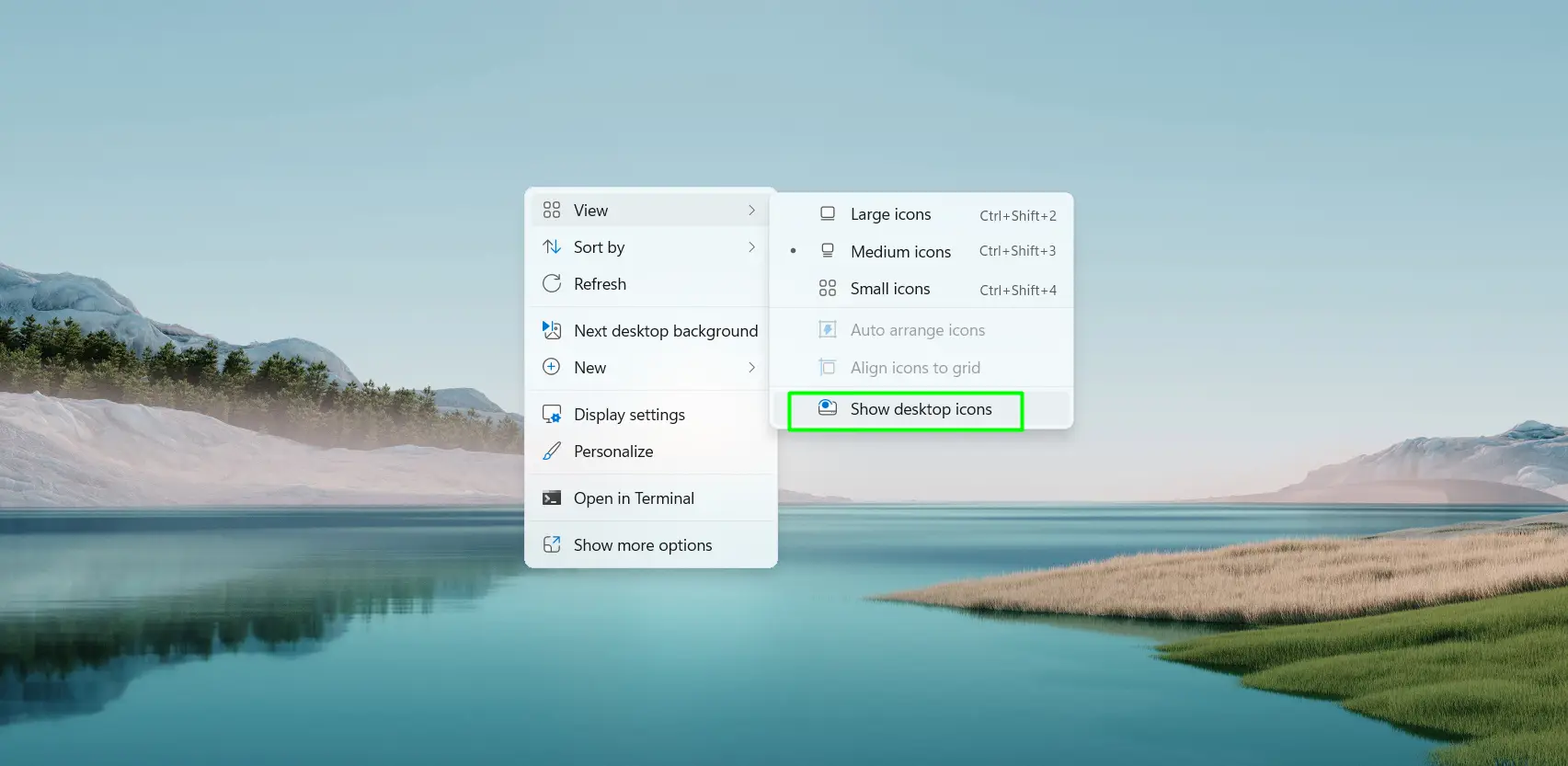 Turning on Desktop Icon