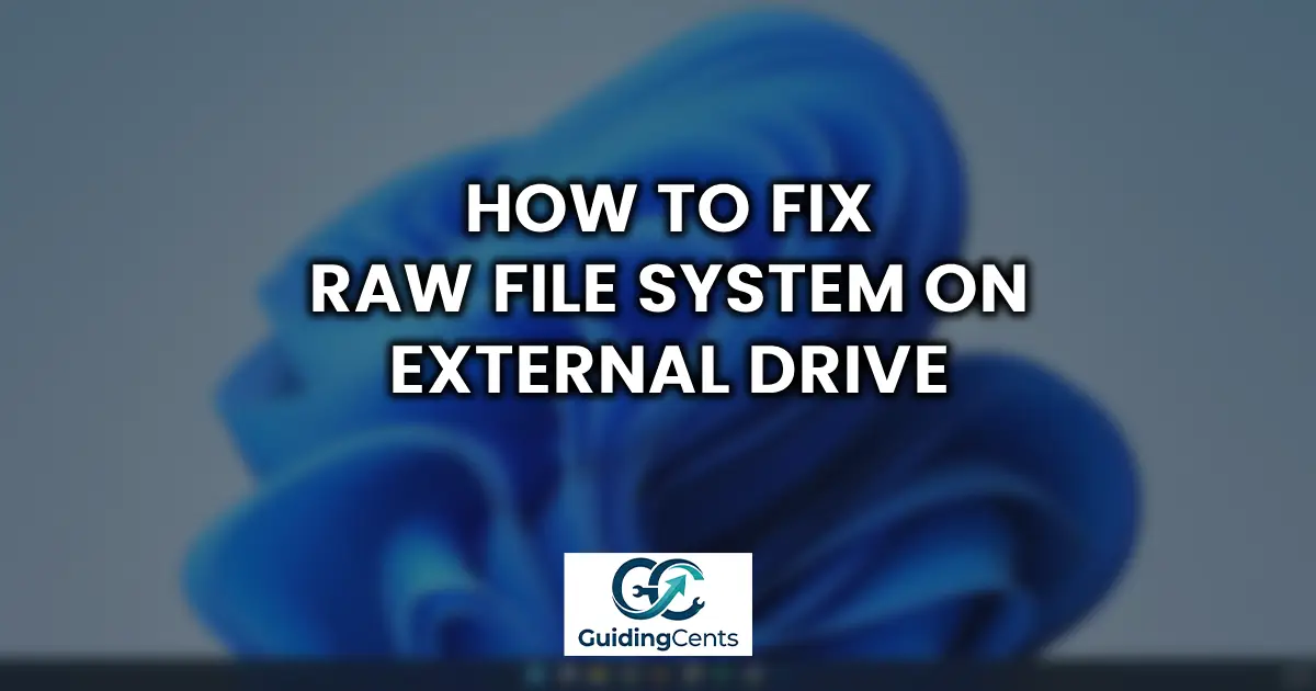 How to Fix RAW File System on External Drive
