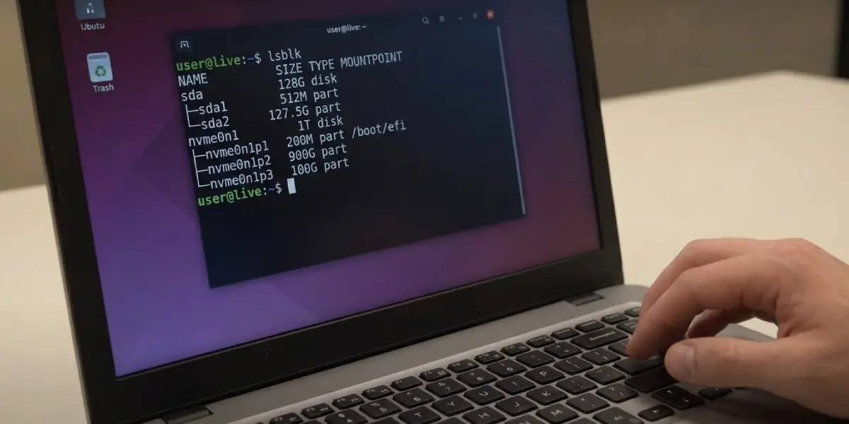 Reinstall GRUB From a Live USB